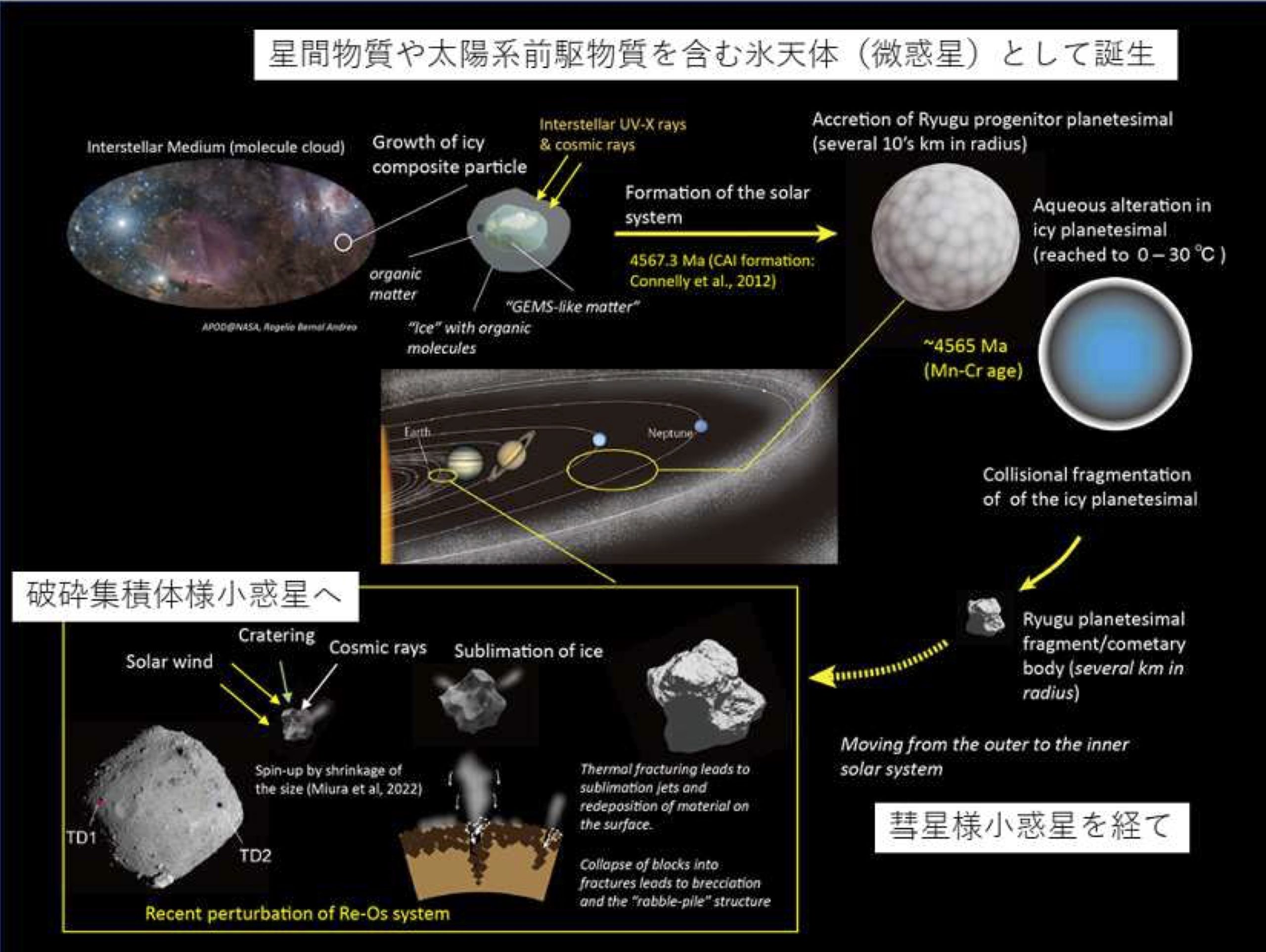 Origin and evolution of asteroid Ryugu – Depicting the evolution of solar system materials through comprehensive geochemical analysis