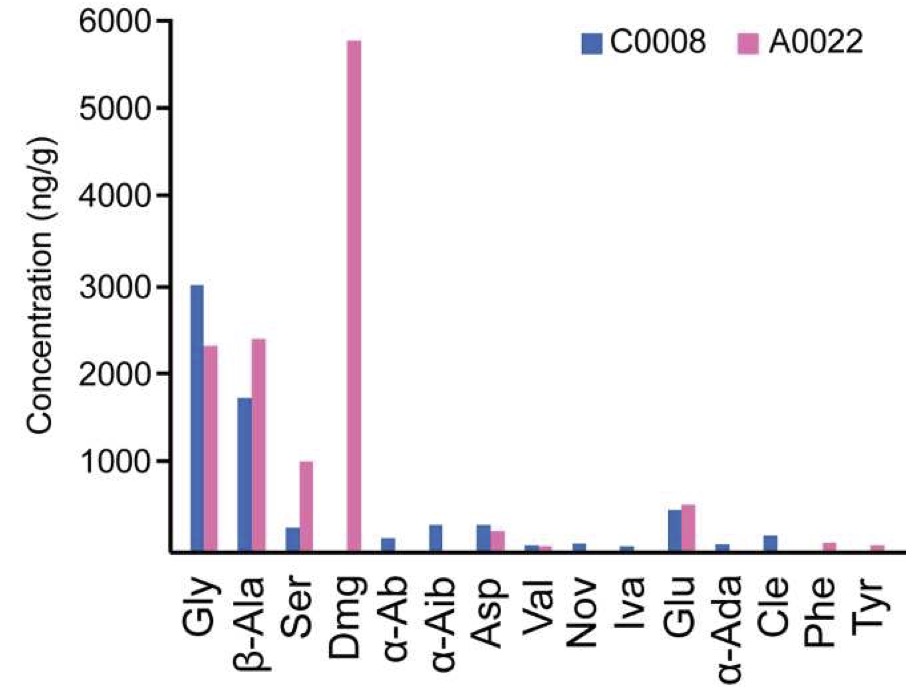 Traces of amino acid production recorded on the asteroid Ryugu ~Snapshot of water-organic reactions in the early solar system~